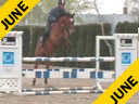 Available on DVD No.2<br>Ludger Beerbaum<br>Day 1<br>Riding & Lecturing<br>Quertseros<br>Oldenburg<br> by: Quebec<br>5 yrs. old Gelding<br>Training: 1.20 meters<br>Duration: 32 minutes