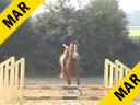 Available on DVD No.15<br>Jeroen Dubbeldam<br>Riding & Lecturing<br>Chopin Lasilla<br>by: Chapultepec out of ET<br>Selle Francaise<br>4 yrs. old Stallion<br>Training: Novice<br>Duration: 28 minutes