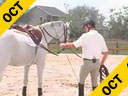 Ian Millar<br>Lecturing & Lungeing<br>Working A Horse<br>From the Ground<br>Fancy Hill<br>10 yrs. old Mare<br>Duration: 40 minutes
