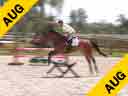 Ian Millar<br>Day 2<br>
Riding & Lecturing<br>
Romanov<br>
8 yrs. old<br>
by; Ahorn<br>
Training: 1.40 meters <br>
Duration: 21 minutes