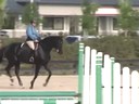 Louise Serio<br>
Riding & Lecturing<br>
Liroto<br>
6 yrs. old Gelding<br>
KWPN<br>
Duration: 29 minutes