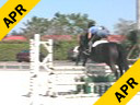 Sandy Ferrell<br>Riding & Lecturing<br>Espresso<br>Warmblood<br>9 yrs. old Mare<br>  Training:3'6" ft<br>Duration: 30 minutes