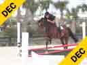 Available on DVD No.4<br>Geoff Teall<br>
Riding & Lecturing<br>
Quatro Dos<br>
German Breed<br>
4 yrs. old Hanovarian<br>
Training: Baby Green Hunter<br>
Duration:28 minutes