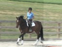 Sandy Ferrell<br>
Riding & Lecturing<br>
Mathiew<br>
Westphalian<br>
6 yrs. old Gelding<br> 
Training: Pre- Green<br> 
Duration: 29 minutes