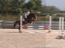 Beezie Madden<br>Riding & Lecturing<br>Conquest<br>KWPN<br>15 yrs old Stallion<br>Coming Back to the<br>Grand Prix ring<br>Duration: 17 minutes